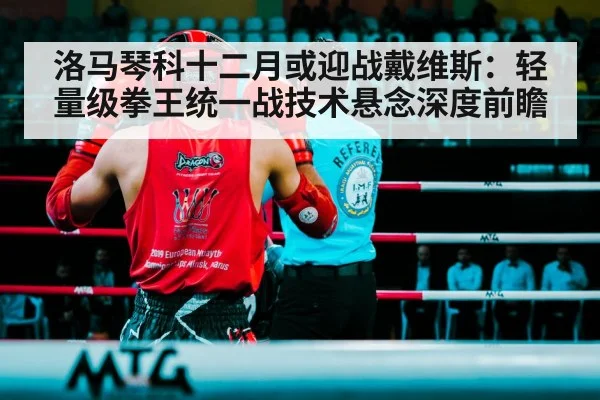 洛马琴科十二月或迎战戴维斯:轻量级拳王统一战技术悬念深度前瞻